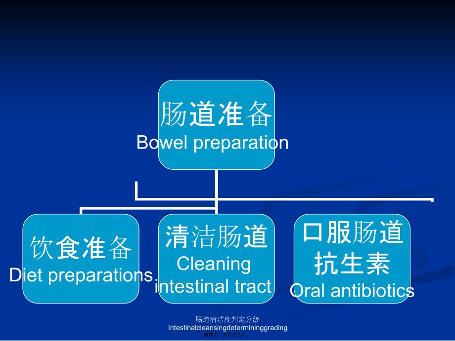 肠道清洁度判定分级Intestinalcleansingdetermininggrading课件_第4页