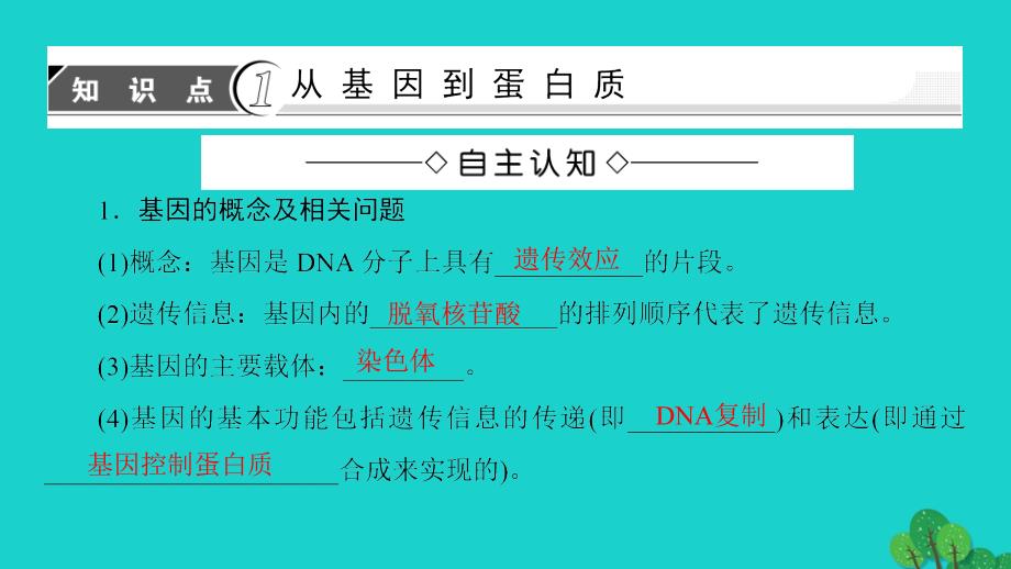 高中生物第4章遗传的分子基础第3节基因控制蛋白质的合成课件苏教版必修_第3页