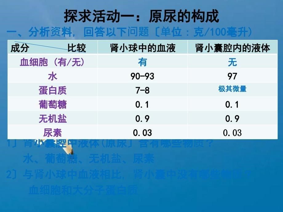 济南版七年级下册生物第三单元第四章第1节尿液的形成和排出ppt课件_第5页