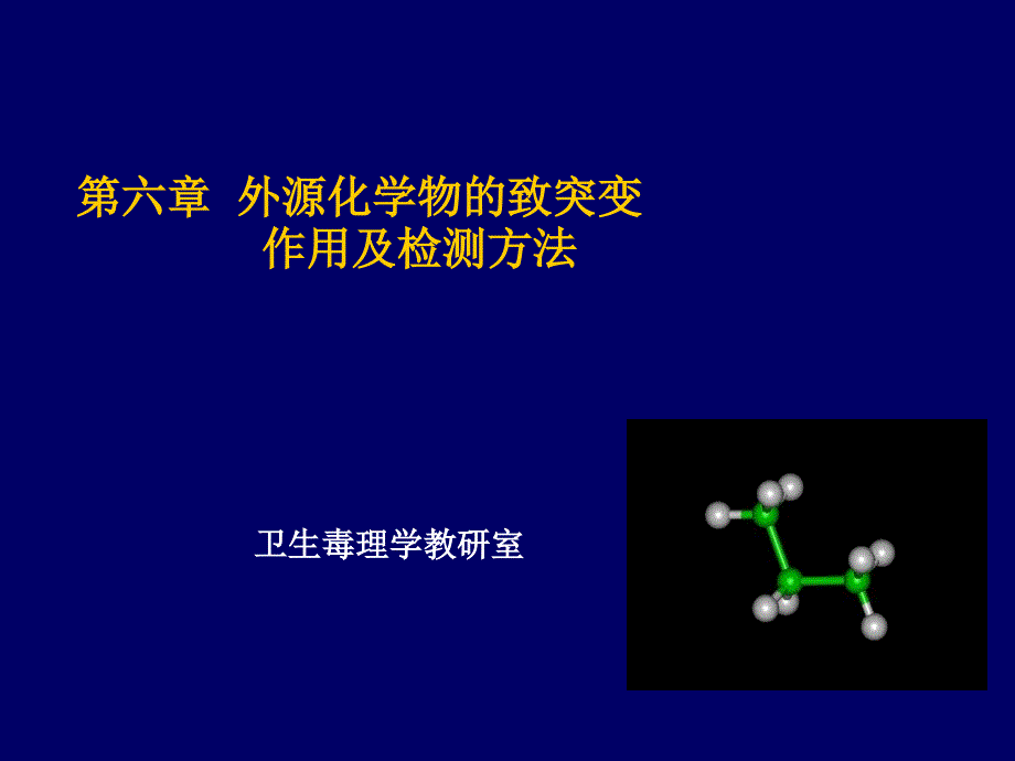 第六章外源化学物的致突变作用及检测方法_第1页