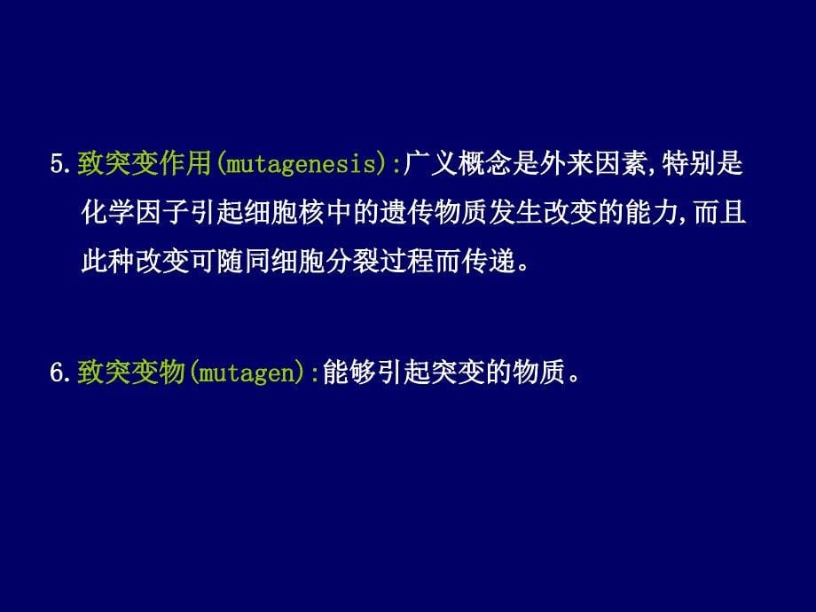 第六章外源化学物的致突变作用及检测方法_第5页