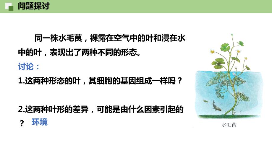 【课件】基因的表达与性状的关系课件高一下学期生物人教版必修2_第2页