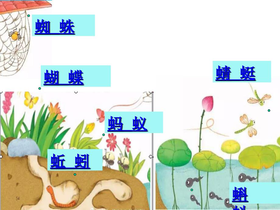 一年级下册语文课件5动物儿歌人教_第3页