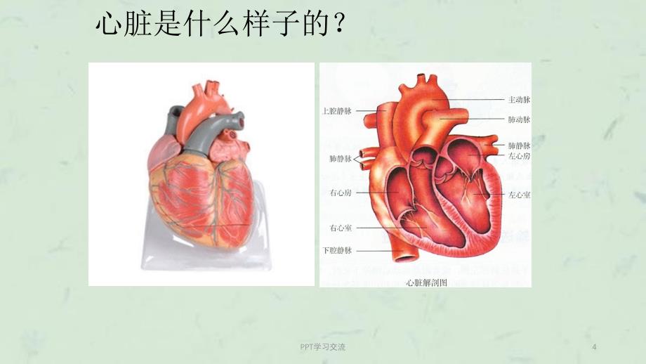 冠心病概述课件_第4页