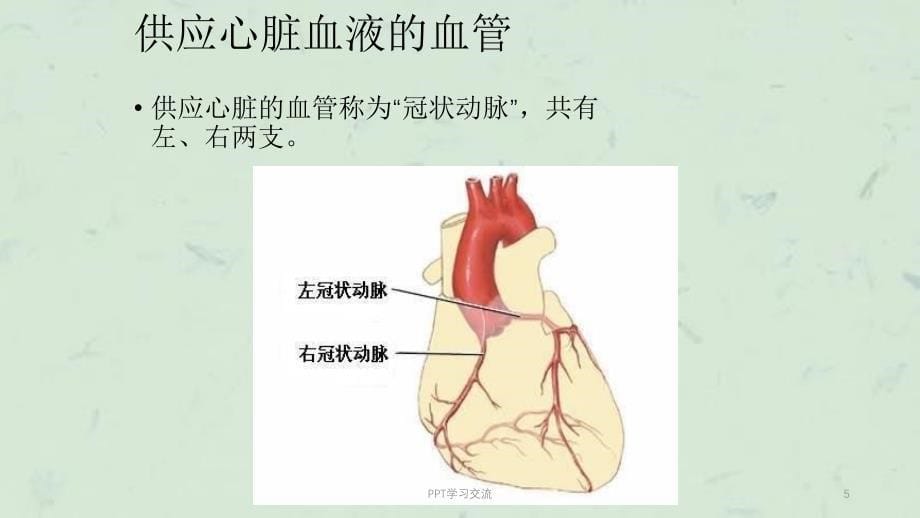 冠心病概述课件_第5页