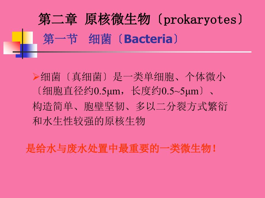 原核微生物细菌ppt课件_第1页