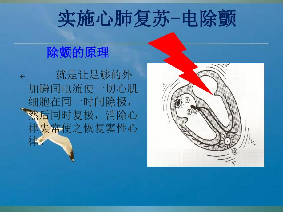 除颤仪的使用陈国富ppt课件_第4页