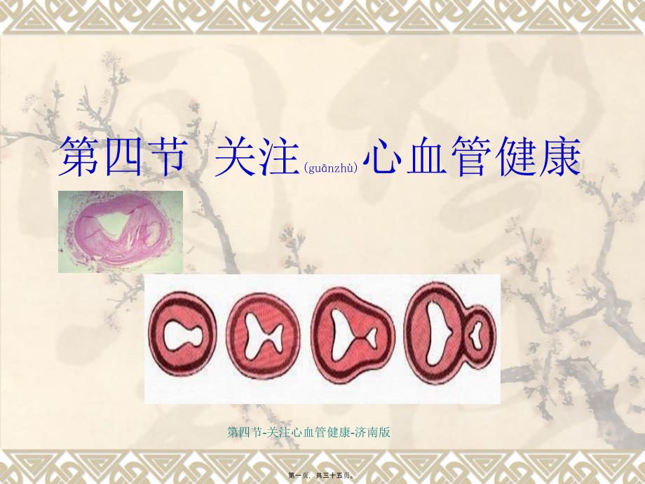 第四节关注心血管健康济南版课件_第1页