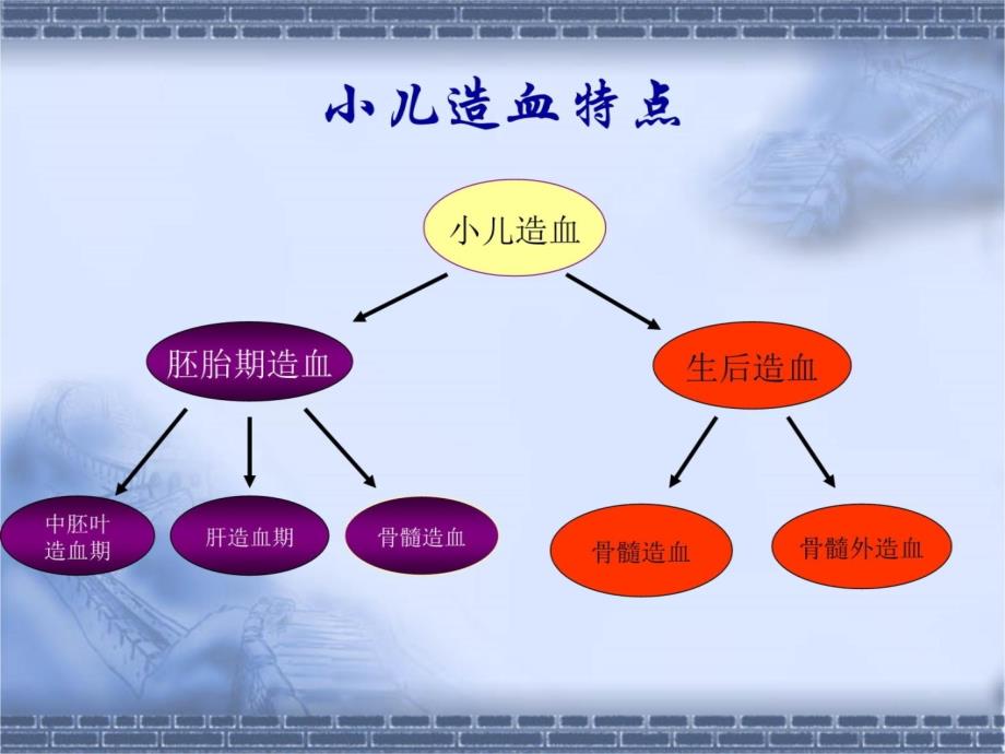 小儿贫血 PPT课件.ppt_第2页