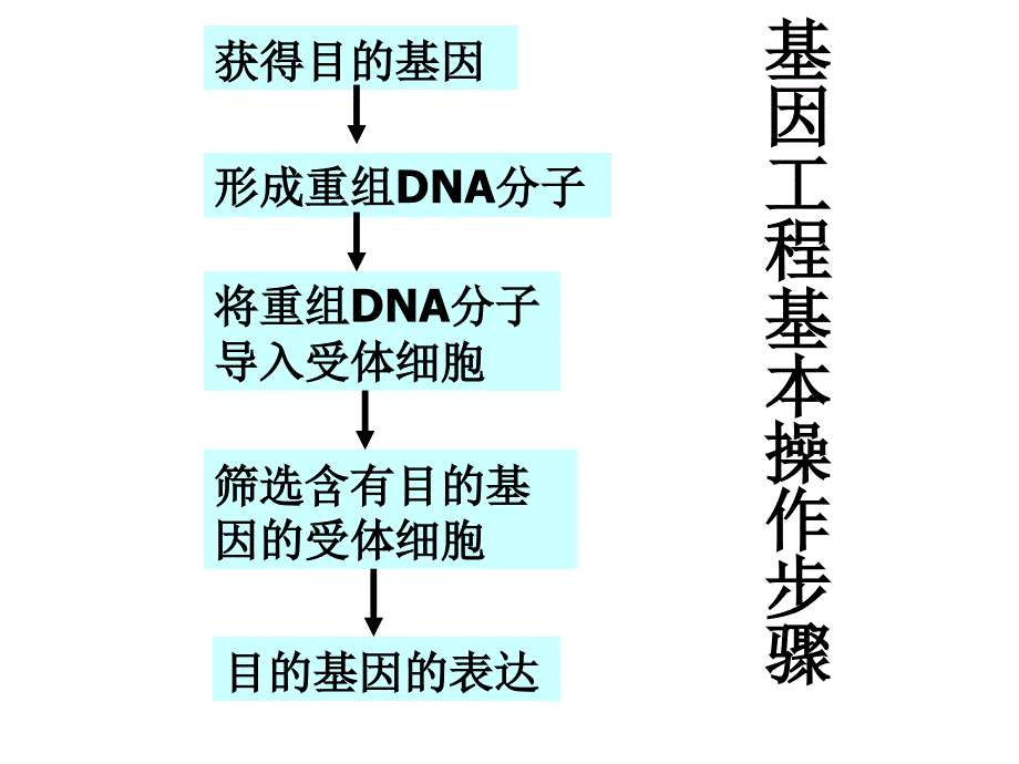 基因工程的基本操作步骤.ppt_第2页