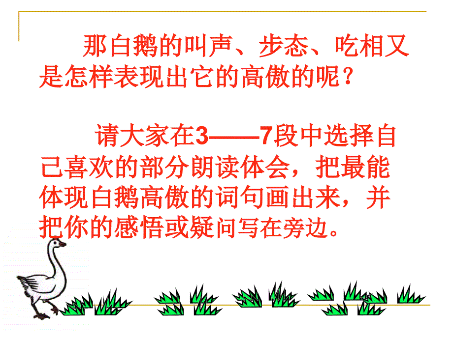 白鹅课件 (2)_第4页