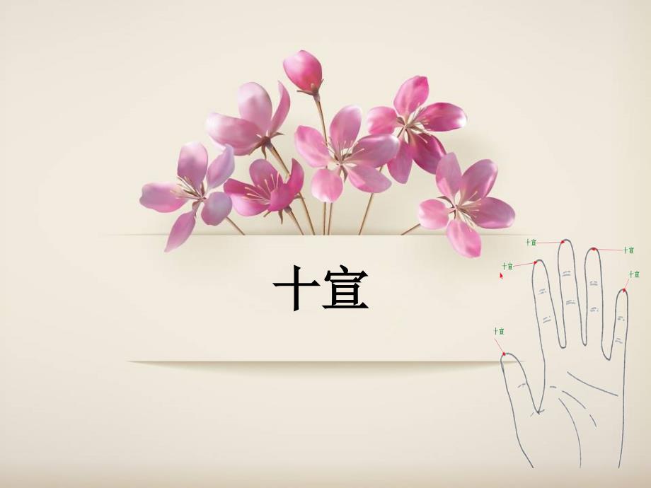 十宣穴的作用及机制_第1页