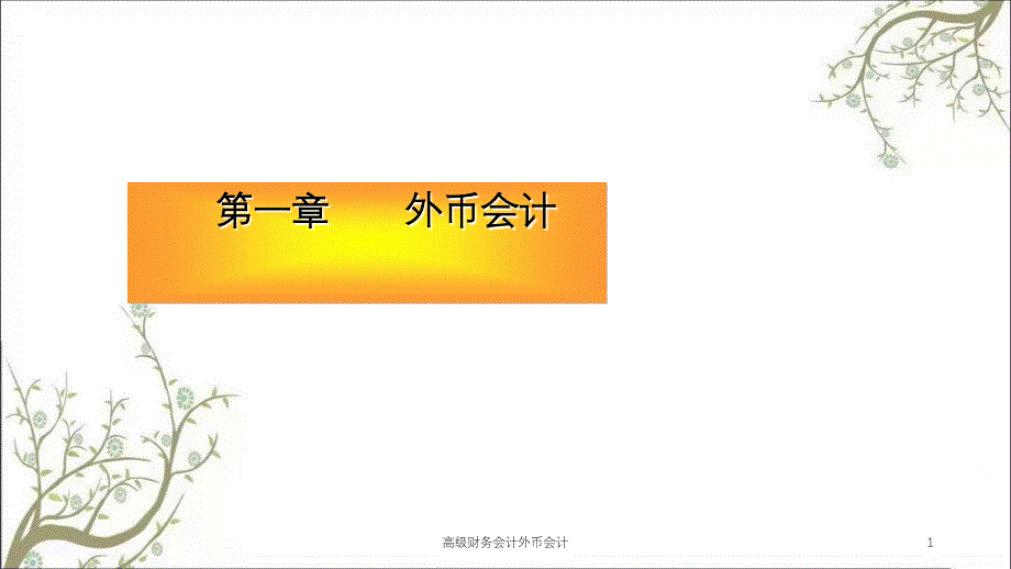 高级财务会计外币会计课件_第1页