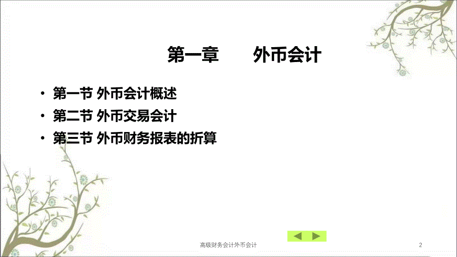 高级财务会计外币会计课件_第2页