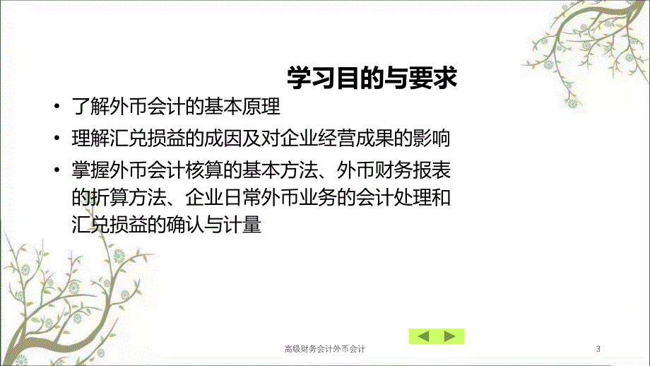 高级财务会计外币会计课件_第3页