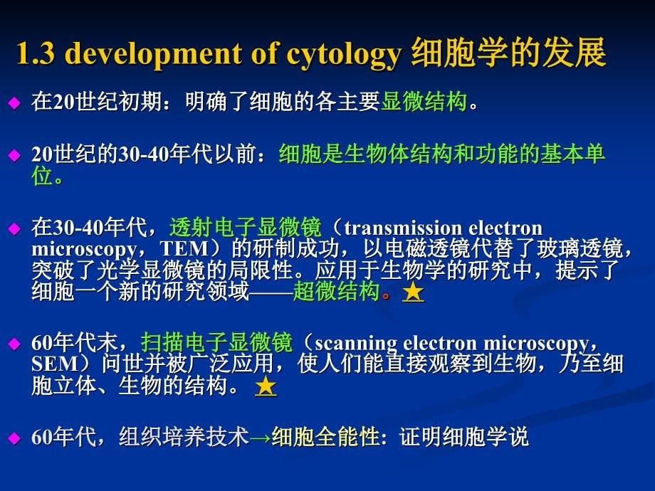 植物学之植物组织系统_第5页