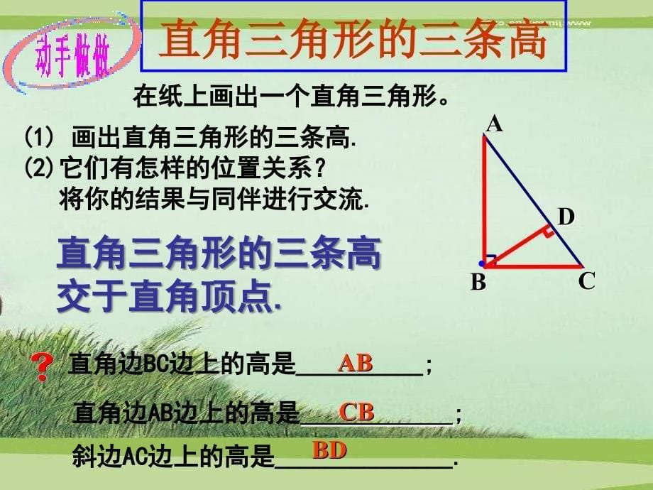 角平分线、中线、高线.ppt_第5页