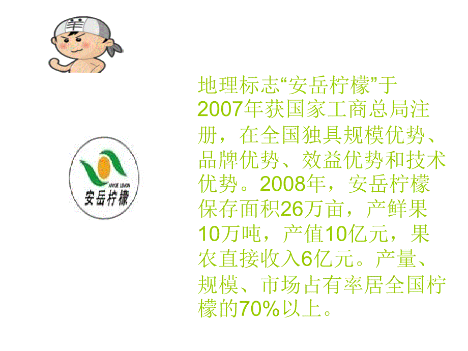 家乡安岳介绍_第4页