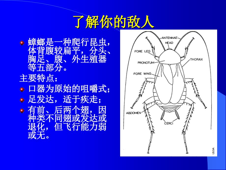 家庭蟑螂制技巧_第4页