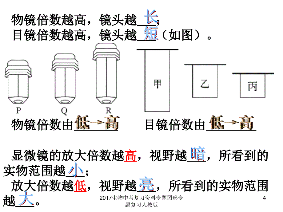 生物中考复习资料专题图形专题复习人教版课件_第4页