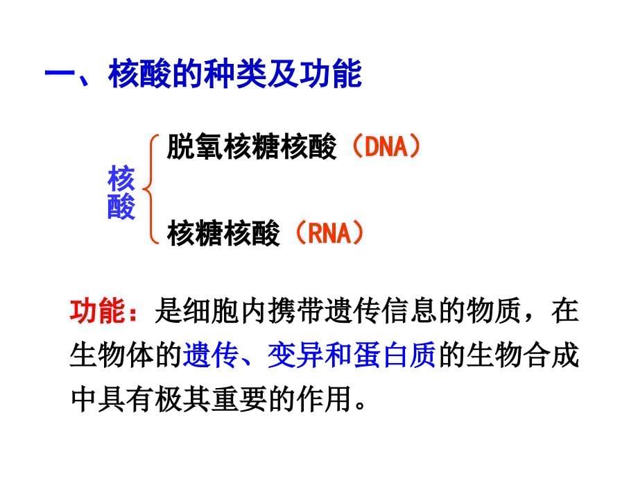 2.3遗传信息的携带者—核酸谢凤英_第5页