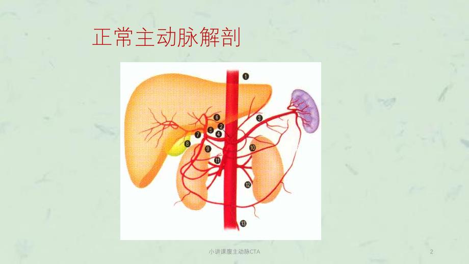 小讲课腹主动脉CTA课件_第2页