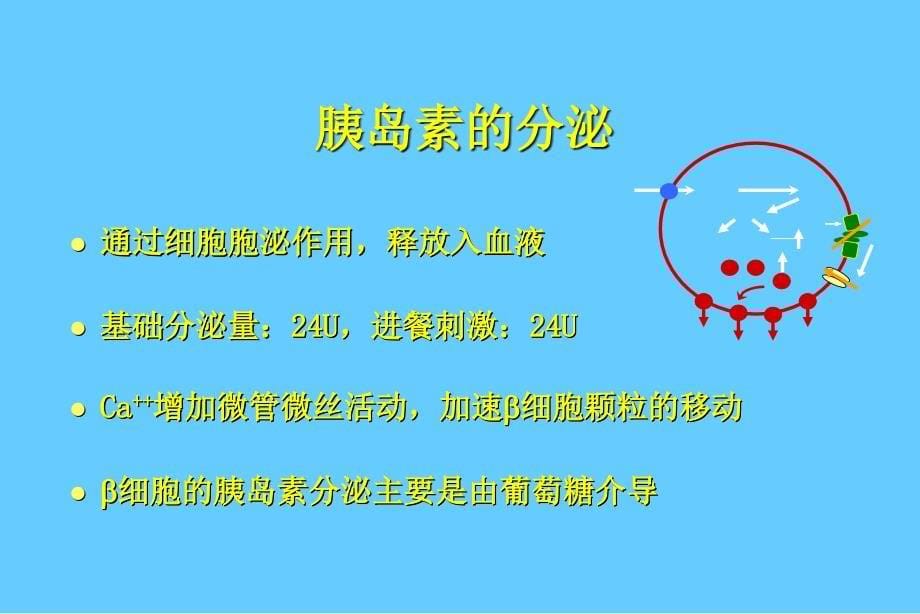 糖尿病患者的胰岛素治疗培训课件_第5页