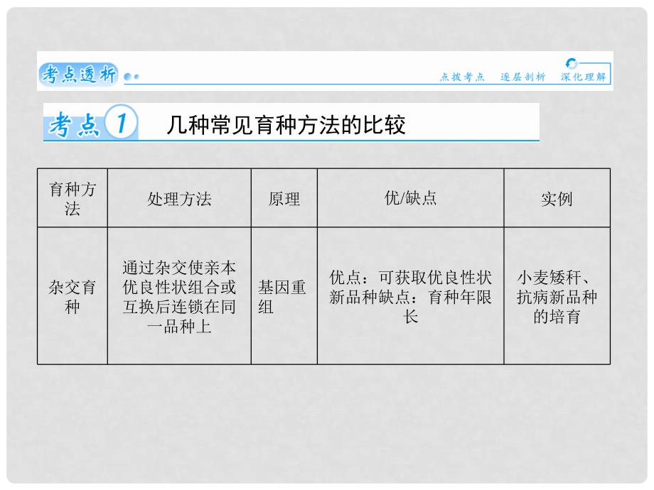 最新高考生物一轮详细复习 从杂交育种到基因工程（考点透析+典例跟踪详解+实验导航大题专训）课件 新人教版_第2页