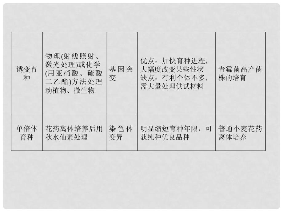 最新高考生物一轮详细复习 从杂交育种到基因工程（考点透析+典例跟踪详解+实验导航大题专训）课件 新人教版_第3页