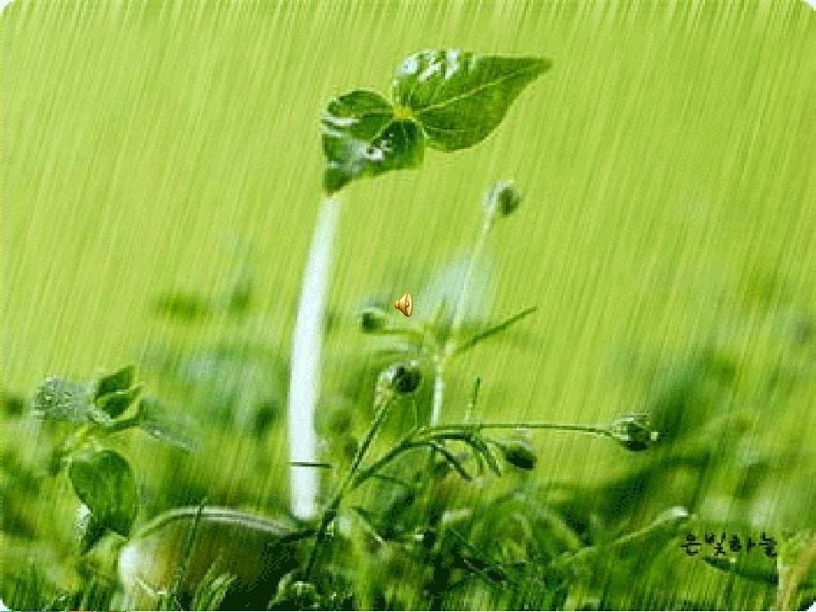 人教版一年级下册雨的色彩课件_第5页