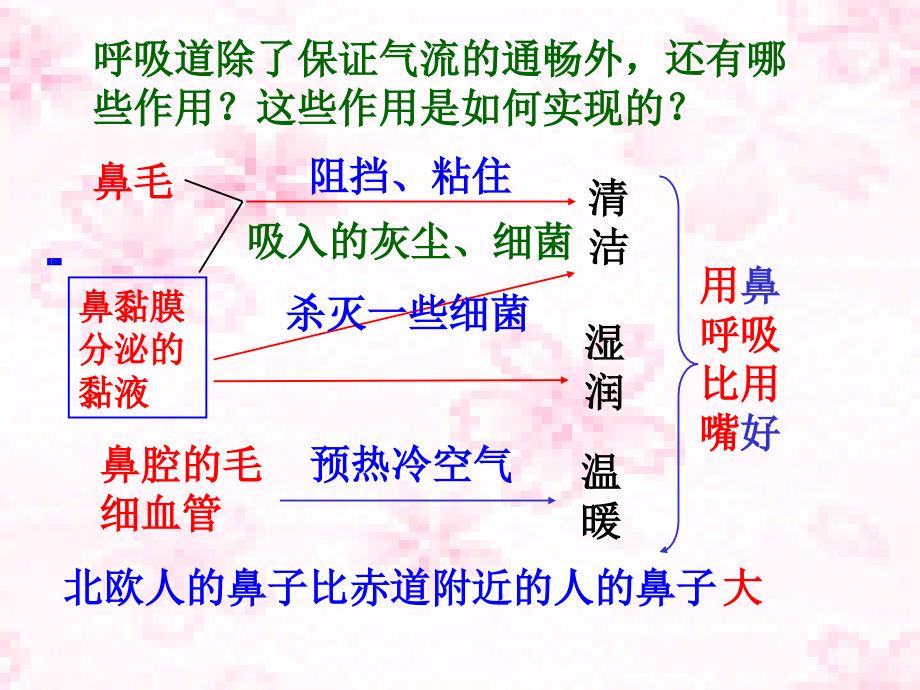 七下四单三章一节呼吸道对空气的处理_第3页