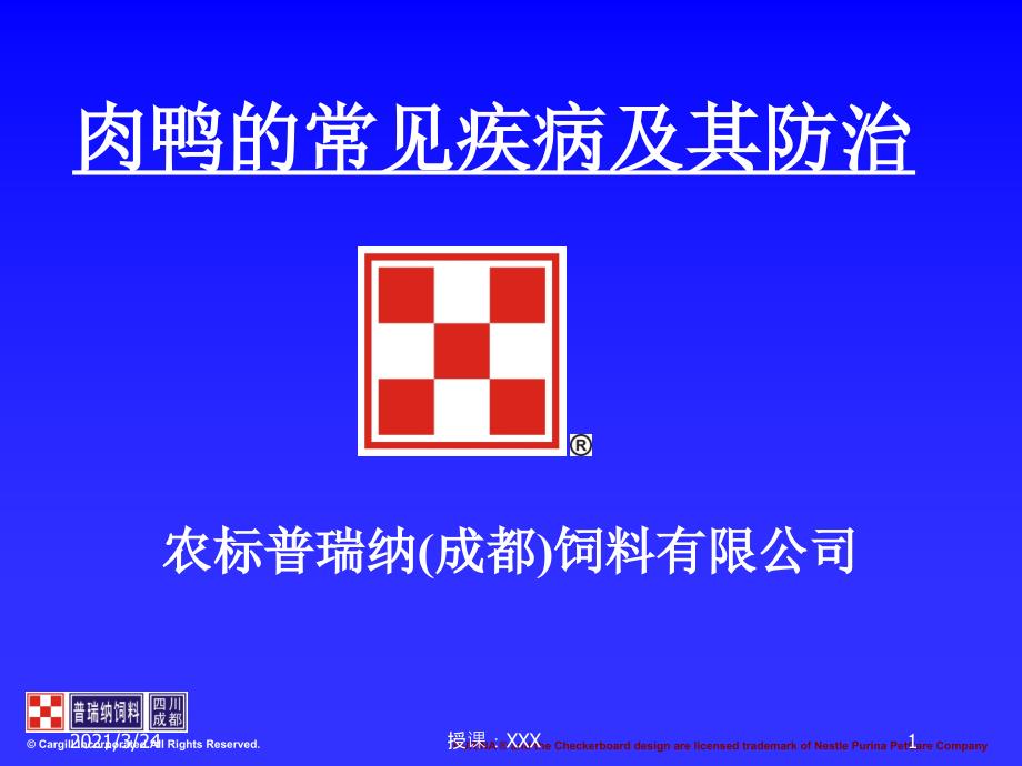 樱桃谷肉鸭的常见疾病及其防治PPT课件_第1页