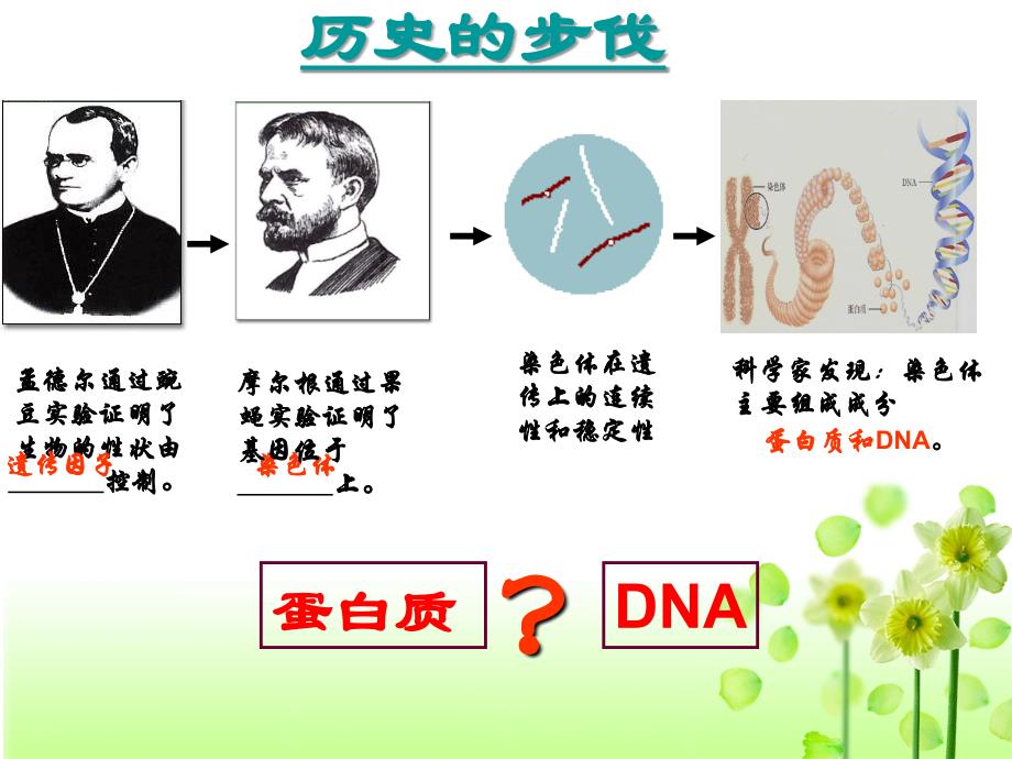 人教版必修二第三章第一节DNA是主要的遗传物质共34张PPT_第2页