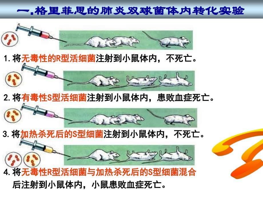 人教版必修二第三章第一节DNA是主要的遗传物质共34张PPT_第5页