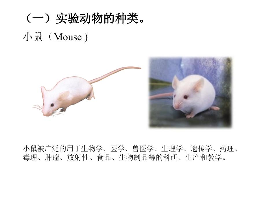 三实验动物麻醉_第4页