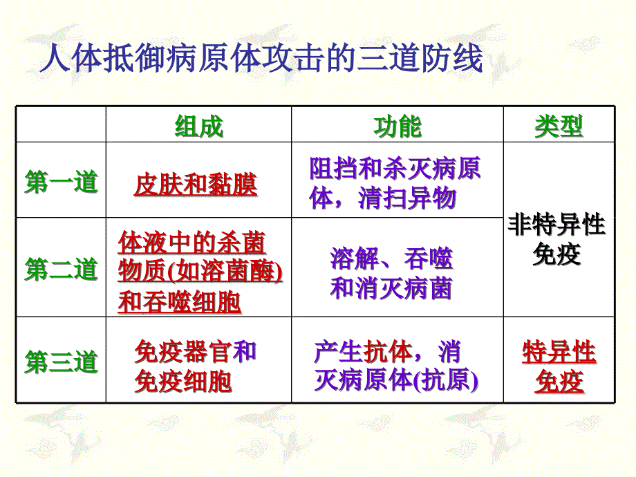 免疫调节第二课时公开课课件_第2页