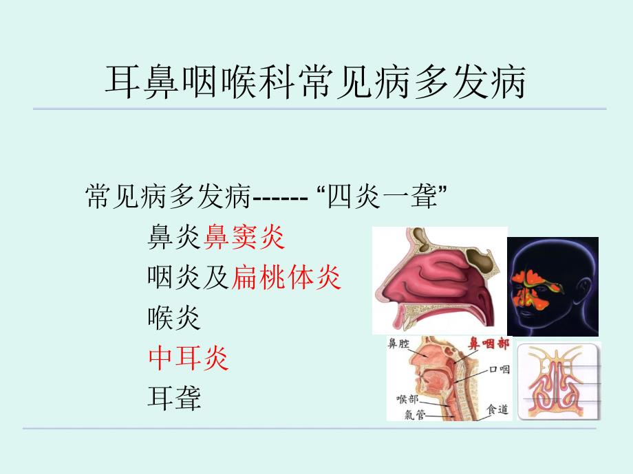 耳鼻咽喉科课件_第4页