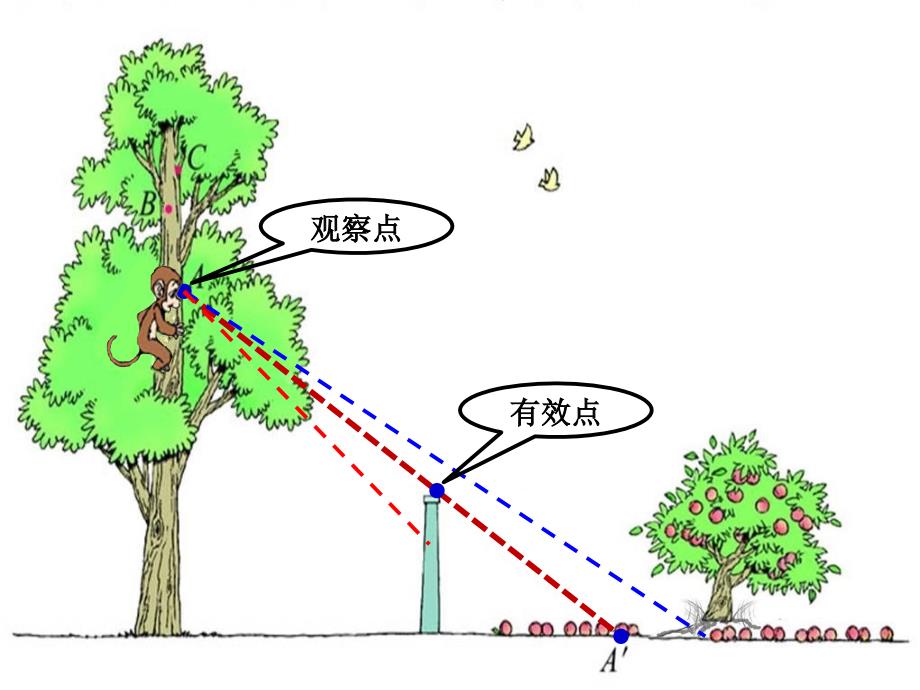 北师大小学六年级数学上册观察的范围_第4页