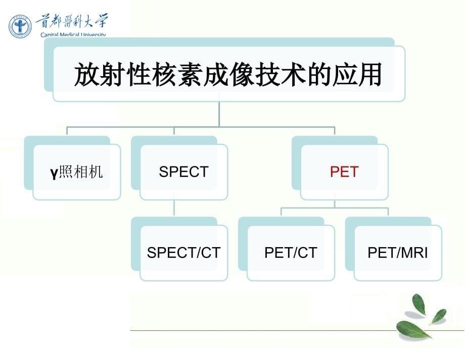 《核医学》教学课件：PET显像课件_第5页