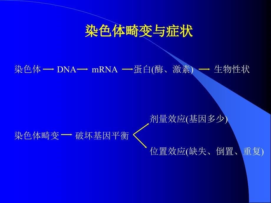 《唐氏筛查报告》PPT课件_第5页