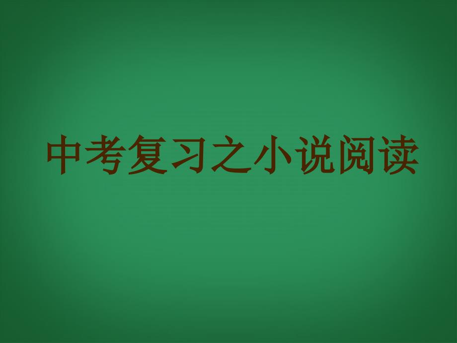 中考语文知识考点专项复习《小说阅读》课件 新人教版_第1页