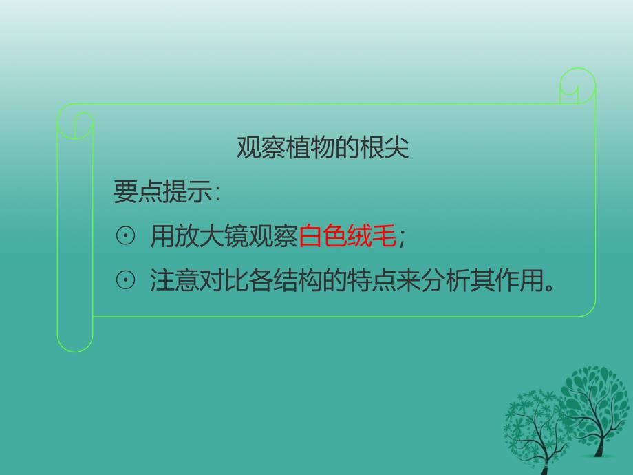 七年级生物上册 第三单元 2.2 植株的生长课件 新版新人教版_第4页