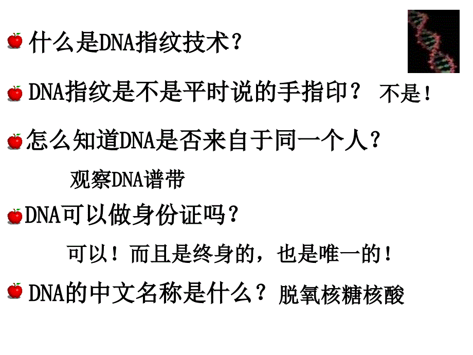 人教版 高中生物 必修1 2.3 遗传信息的携带者—核酸_第3页