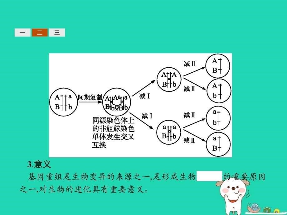 2022-2023高中生物 第5章 遗传信息的改变 5.2 细胞呼吸优质课件 北师大版必修2_第5页