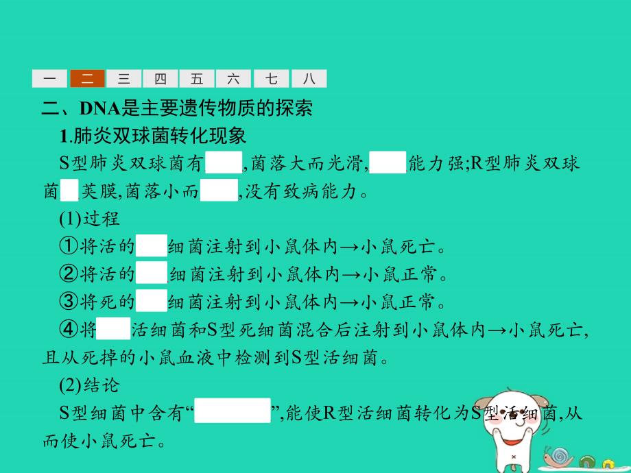 2022-2023高中生物 第2章 遗传信息传递的结构基础 2.2 DNA贮存遗传信息优质课件 北师大版必修2_第4页