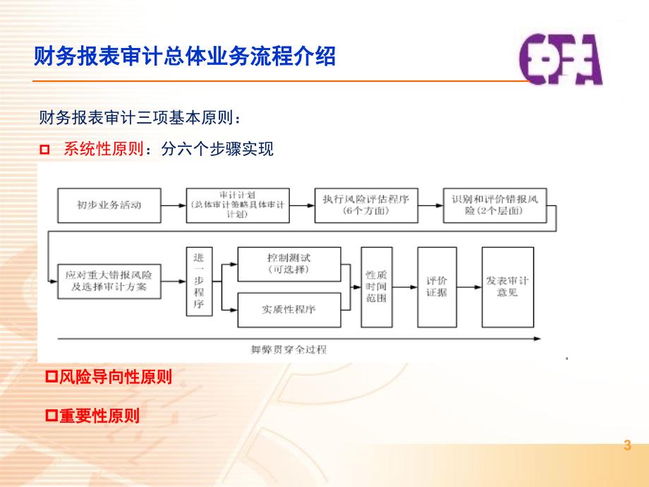 风险评估审计讲解讲义_第3页