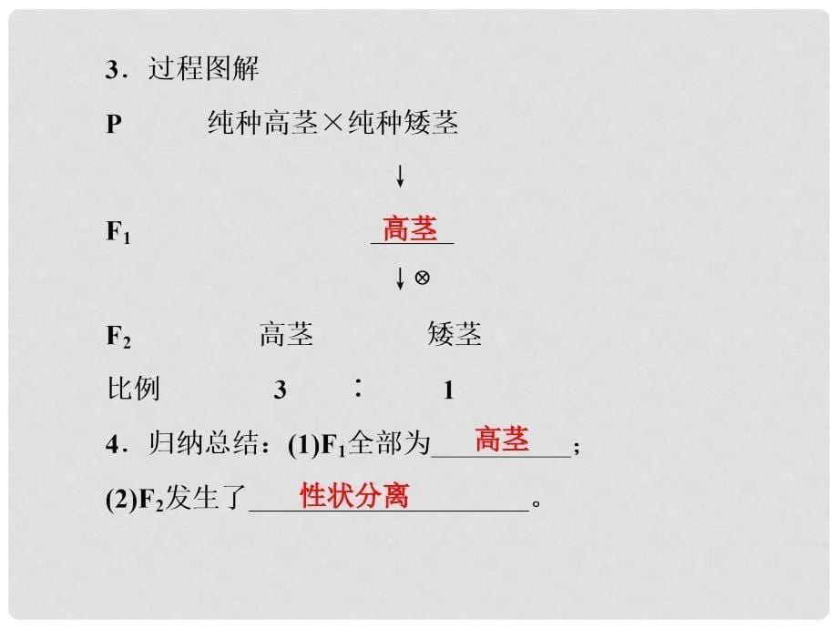 高考生物一轮总复习 第五单元 遗传因子的发现与伴性遗传 第1讲 孟德尔杂交实验（一）基因分离定律课件（必修2）_第5页