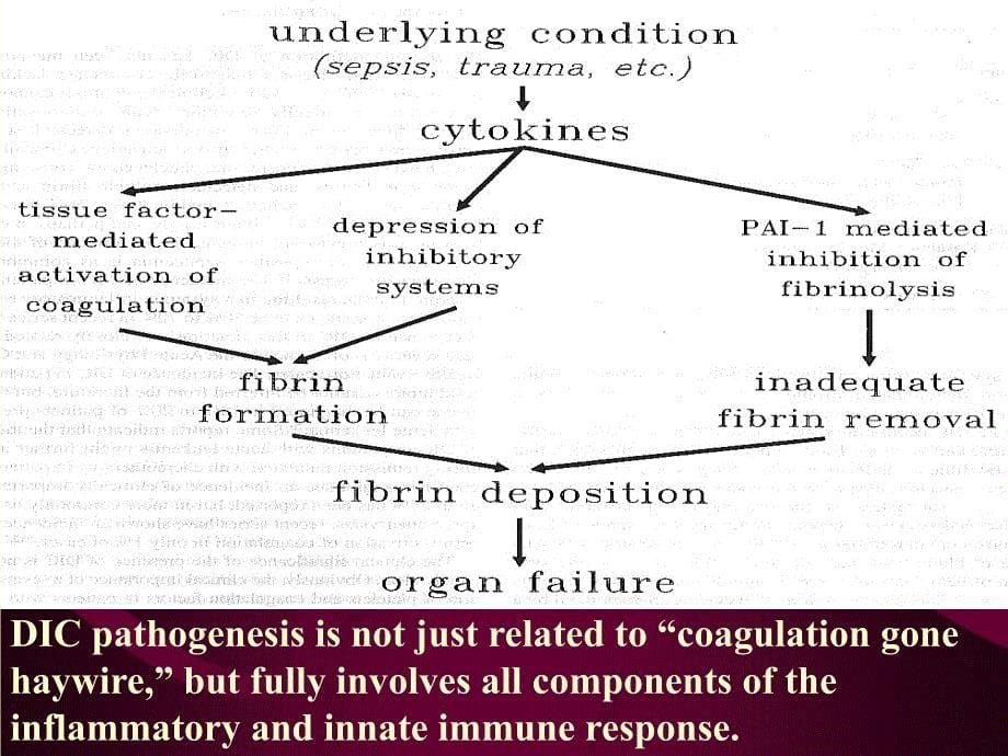 dic弥散性血管内凝血诊断和治疗进展ppt课件_第5页