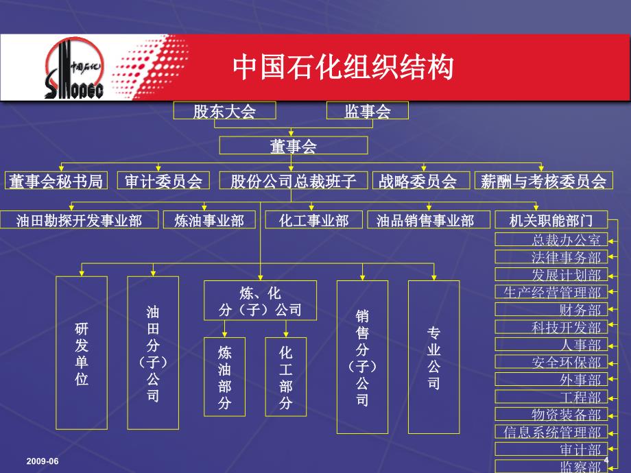 中国石油化工股份有限公司内部控制介绍_第4页