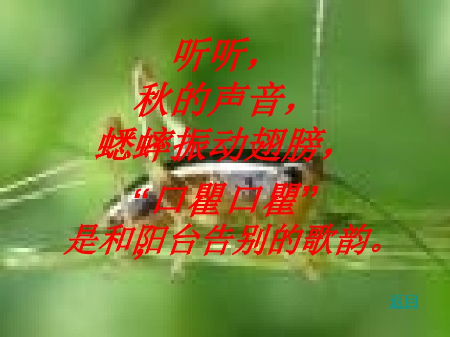 听听秋的声音2_第4页